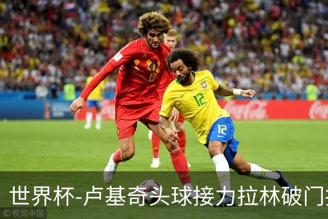 世界杯-卢基奇头球接力拉林破门扳平 加拿大1-1波黑
